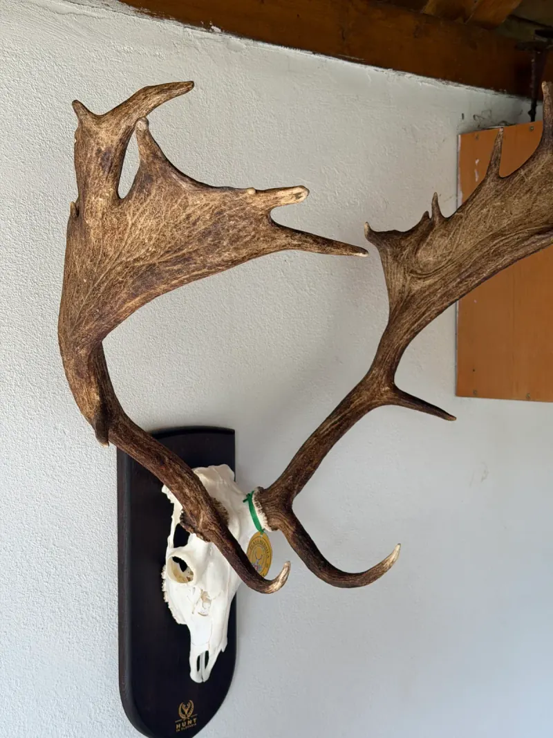 Podložky pod trofeje